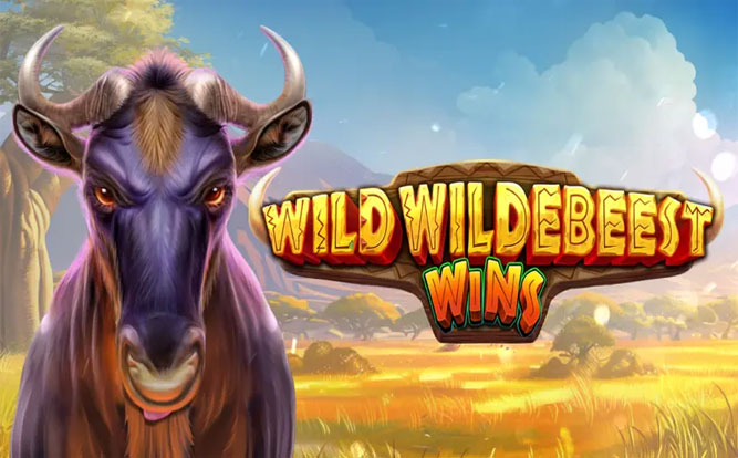 Wild Wildebeest Wins